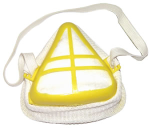 Mask Dust Filter $1.80